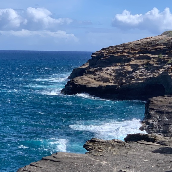 Meet your Posher, Aravious - Picture 3 of 3